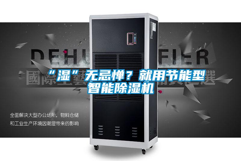 “濕”無忌憚？就用節能型智能除濕機