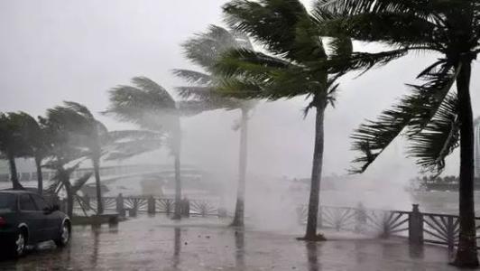 8月臺風雨即將來，除濕機還得用起來