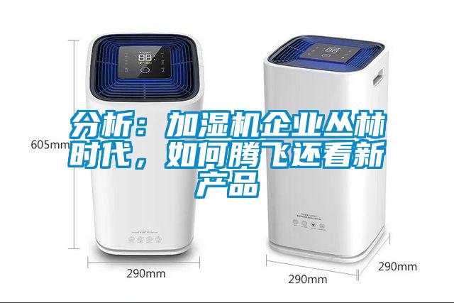 分析：加濕機企業叢林時代，如何騰飛還看新產品