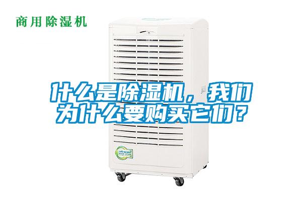 什么是除濕機，我們為什么要購買它們？