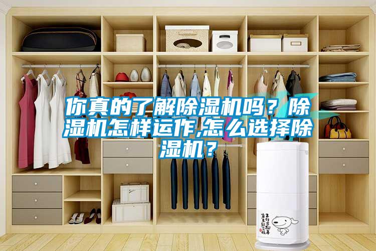 你真的了解除濕機嗎？除濕機怎樣運作,怎么選擇除濕機？