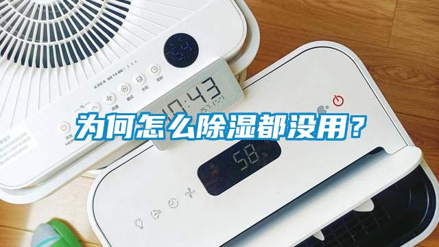 為何怎么除濕都沒用？