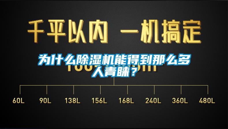 為什么除濕機能得到那么多人青睞？