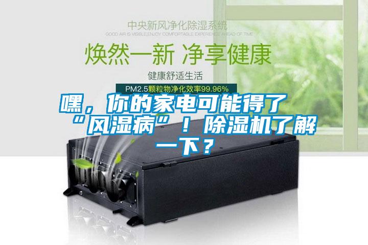 嘿，你的家電可能得了“風濕病”！除濕機了解一下？