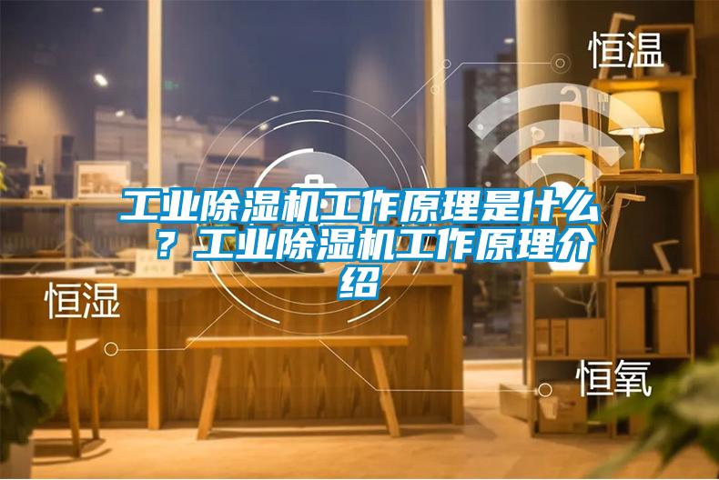 工業除濕機工作原理是什么 ？工業除濕機工作原理介紹