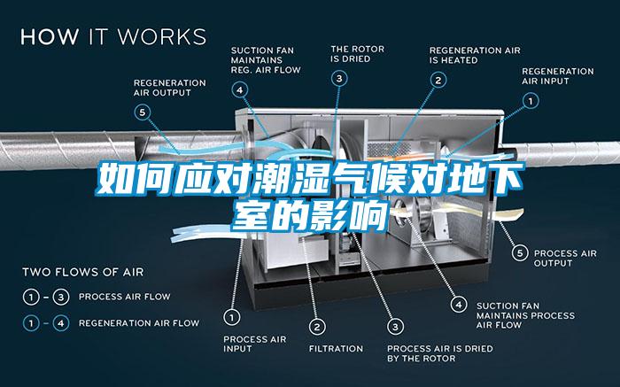 如何應對潮濕氣候對地下室的影響