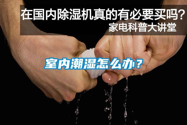 室內潮濕怎么辦？