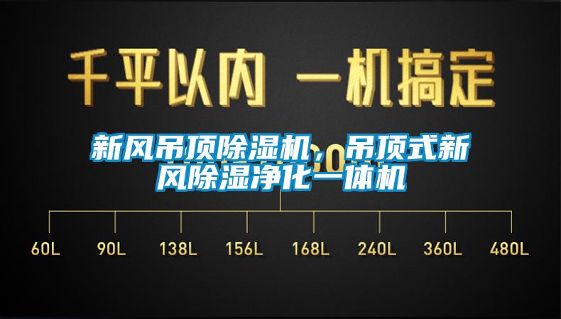 新風吊頂除濕機，吊頂式新風除濕凈化一體機