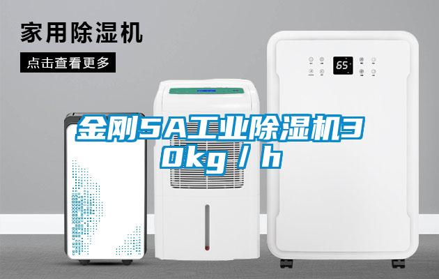 金剛5A工業除濕機30kg／h