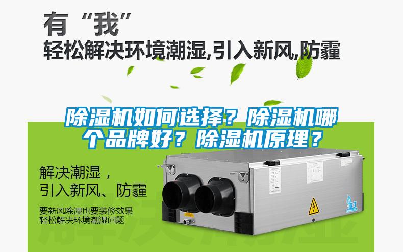 除濕機如何選擇？除濕機哪個品牌好？除濕機原理？