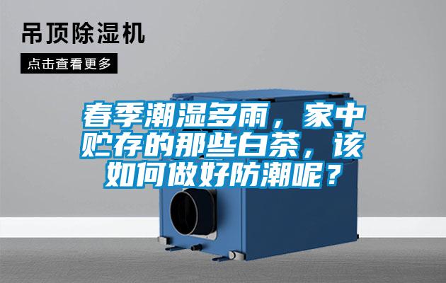 春季潮濕多雨，家中貯存的那些白茶，該如何做好防潮呢？