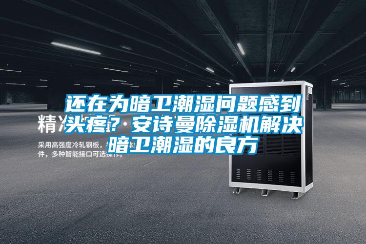 還在為暗衛潮濕問題感到頭疼？安詩曼除濕機解決暗衛潮濕的良方