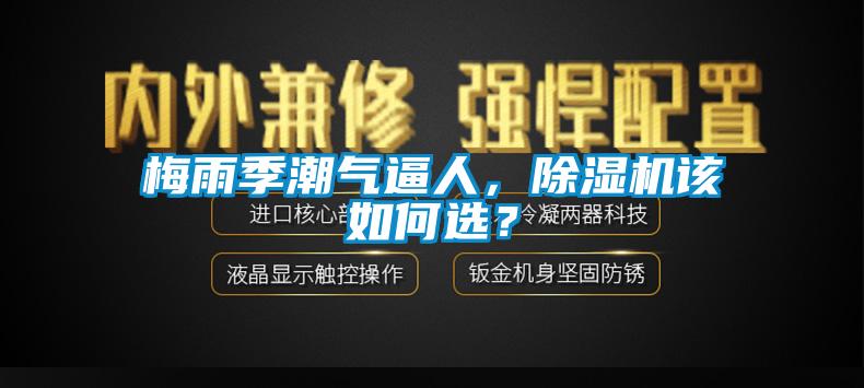 梅雨季潮氣逼人，除濕機該如何選？