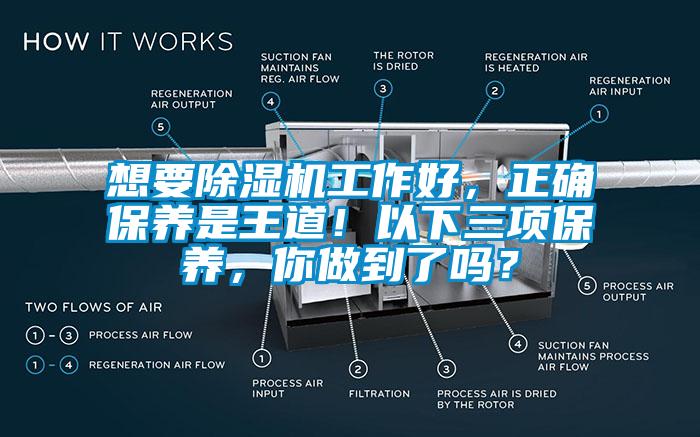 想要除濕機工作好，正確保養是王道！以下三項保養，你做到了嗎？