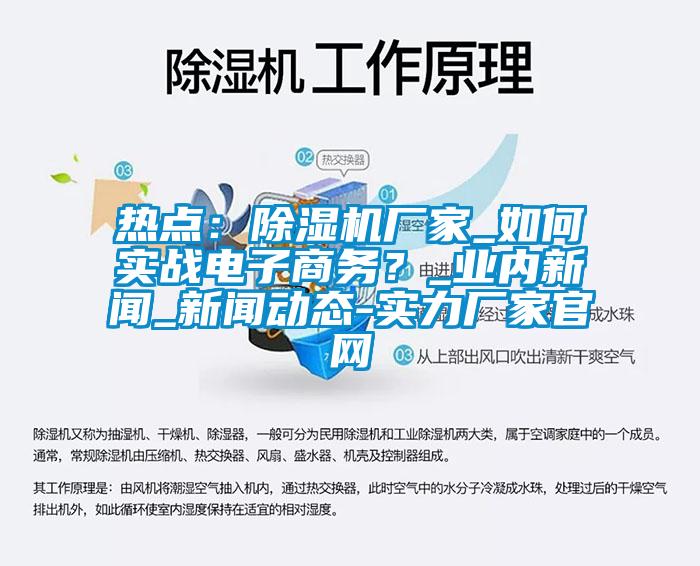 熱點：除濕機廠家_如何實戰電子商務？_業內新聞_新聞動態-實力廠家官網