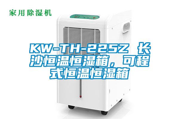 KW-TH-225Z 長沙恒溫恒濕箱，可程式恒溫恒濕箱