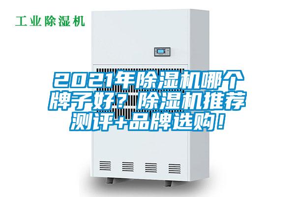 2021年除濕機哪個牌子好？除濕機推薦測評+品牌選購！