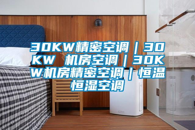 30KW精密空調｜30KW 機房空調｜30KW機房精密空調｜恒溫恒濕空調