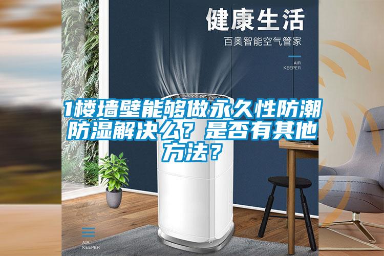 1樓墻壁能夠做永久性防潮防濕解決么？是否有其他方法？