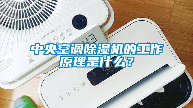 中央空調除濕機的工作原理是什么？