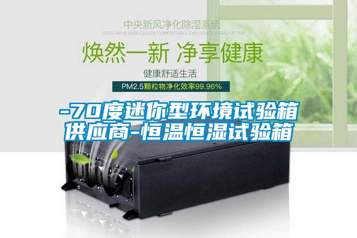 -70度迷你型環境試驗箱供應商-恒溫恒濕試驗箱