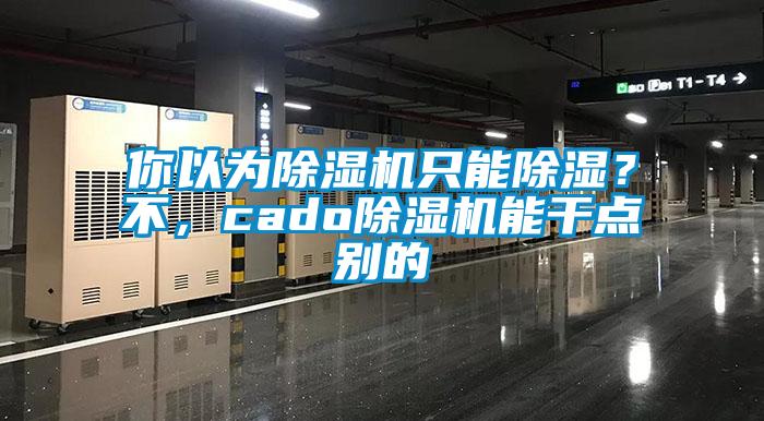 你以為除濕機只能除濕？不，cado除濕機能干點別的