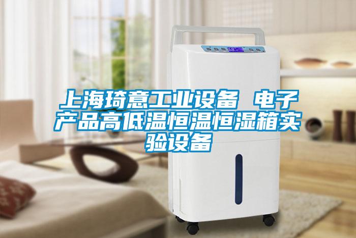 上海琦意工業設備 電子產品高低溫恒溫恒濕箱實驗設備