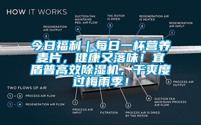 今日福利｜每日一杯營養麥片，健康又落味！宜盾普高效除濕機，干爽度過梅雨季！