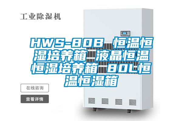 HWS-80B 恒溫恒濕培養箱 液晶恒溫恒濕培養箱 80L恒溫恒濕箱