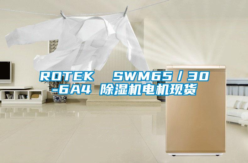 ROTEK  SWM65／30-6A4 除濕機電機現貨