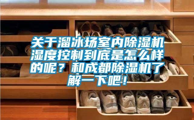 關于溜冰場室內除濕機濕度控制到底是怎么樣的呢？和成都除濕機了解一下吧！