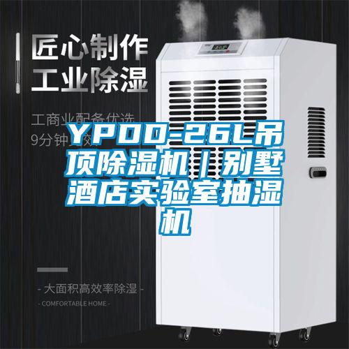 YPDD-26L吊頂除濕機｜別墅酒店實驗室抽濕機