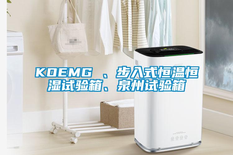 KOEMG 、步入式恒溫恒濕試驗箱、泉州試驗箱