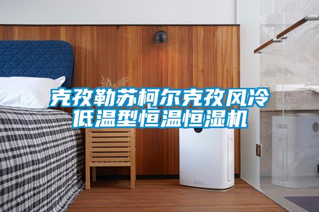 克孜勒蘇柯爾克孜風冷低溫型恒溫恒濕機