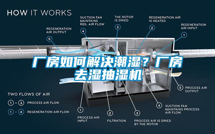 廠房如何解決潮濕？廠房去濕抽濕機