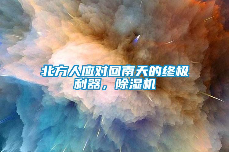 北方人應對回南天的終極利器，除濕機