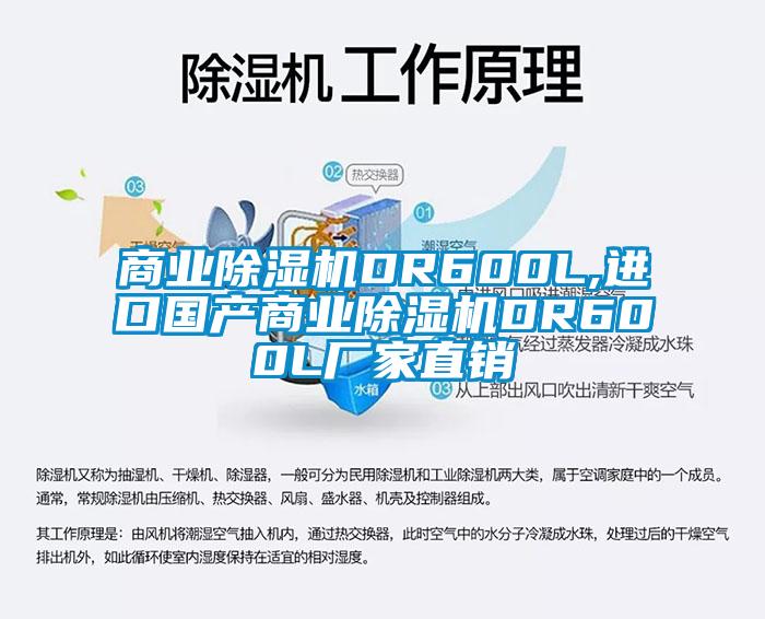 商業除濕機DR600L,進口國產商業除濕機DR600L廠家直銷