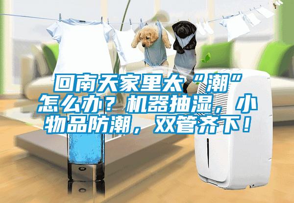 回南天家里太“潮”怎么辦？機器抽濕，小物品防潮，雙管齊下！