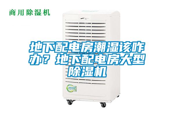 地下配電房潮濕該咋辦？地下配電房大型除濕機