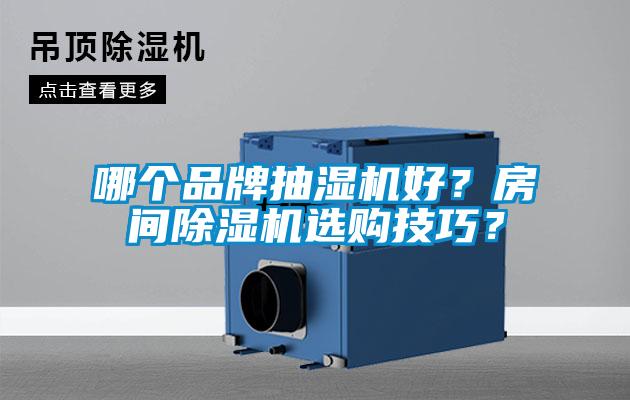 哪個品牌抽濕機好？房間除濕機選購技巧？