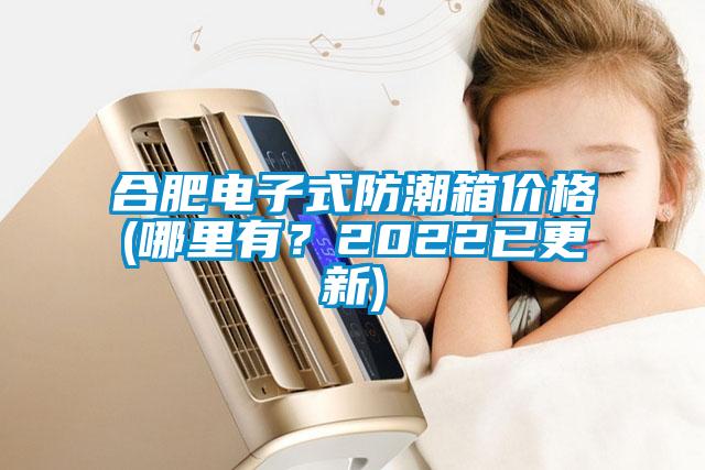 合肥電子式防潮箱價格(哪里有？2022已更新)