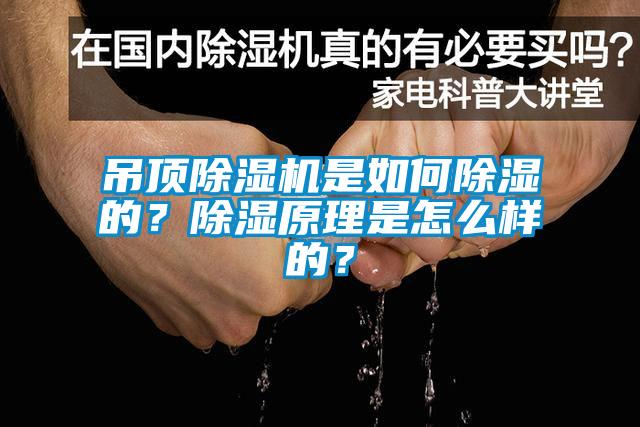 吊頂除濕機是如何除濕的？除濕原理是怎么樣的？