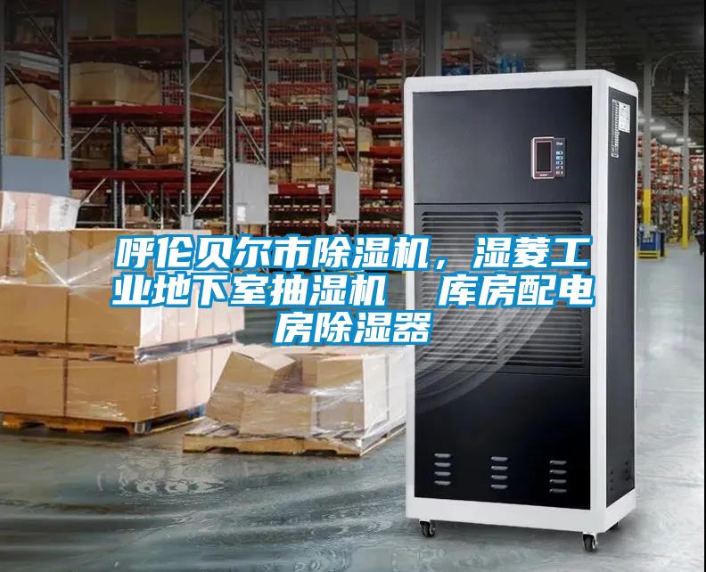 呼倫貝爾市除濕機，濕菱工業地下室抽濕機  庫房配電房除濕器