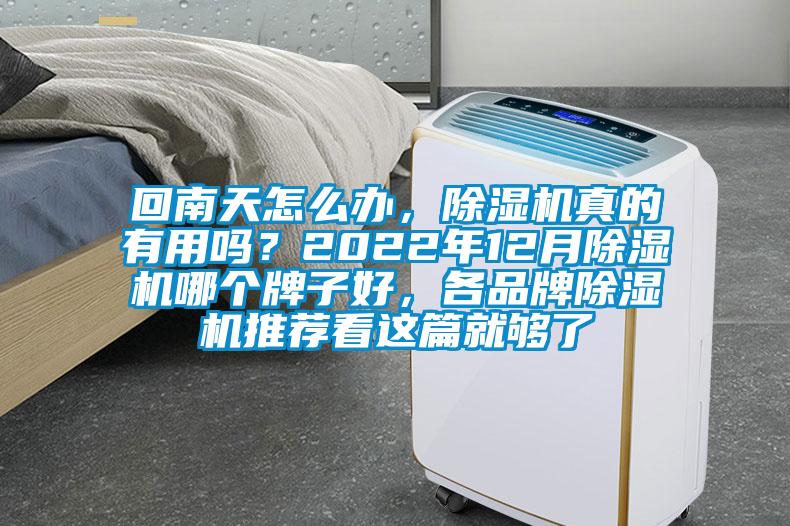 回南天怎么辦，除濕機真的有用嗎？2022年12月除濕機哪個牌子好，各品牌除濕機推薦看這篇就夠了