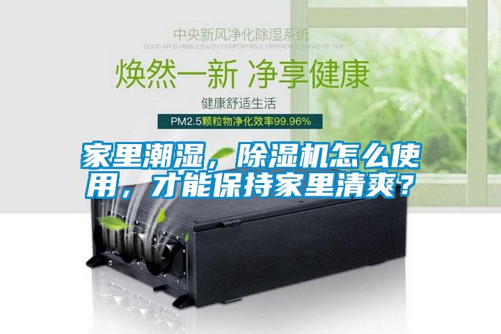 家里潮濕，除濕機怎么使用，才能保持家里清爽？