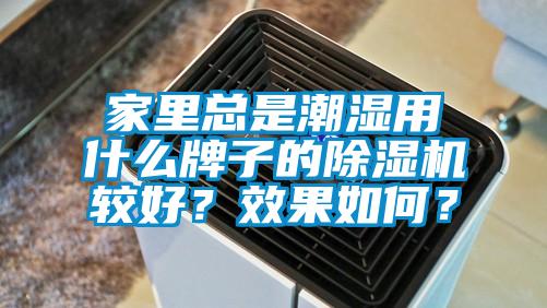 家里總是潮濕用什么牌子的除濕機較好？效果如何？