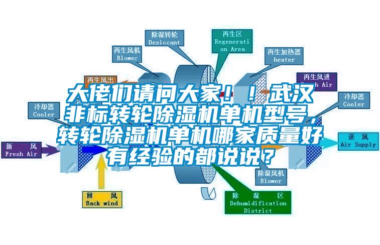 大佬們請問大家?。∥錆h非標轉輪除濕機單機型號，轉輪除濕機單機哪家質量好有經驗的都說說？