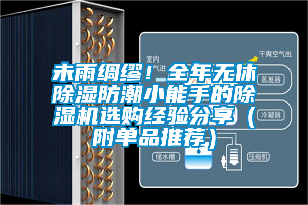 未雨綢繆！全年無休除濕防潮小能手的除濕機選購經驗分享（附單品推薦）