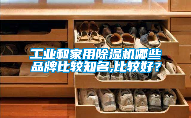 工業和家用除濕機哪些品牌比較知名,比較好？