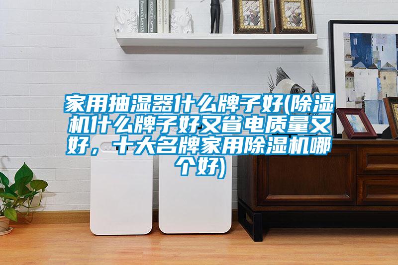 家用抽濕器什么牌子好(除濕機什么牌子好又省電質量又好，十大名牌家用除濕機哪個好)